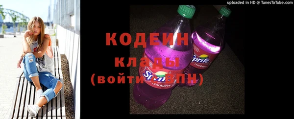 эйфоретик Вяземский