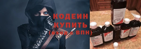 эйфоретик Вяземский