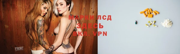 эйфоретик Вяземский