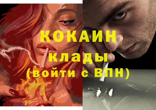 эйфоретик Вяземский