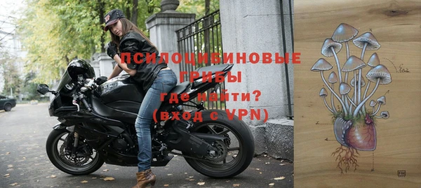 эйфоретик Вяземский