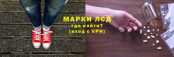 эйфоретик Вяземский
