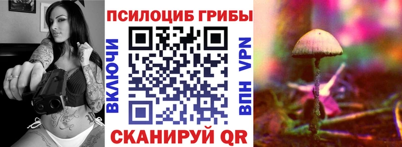 дарк нет какой сайт  Владимир  Галлюциногенные грибы GOLDEN TEACHER 
